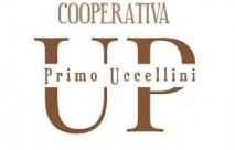 Truffe, raggiri e furti in abitazione: come difendersi.